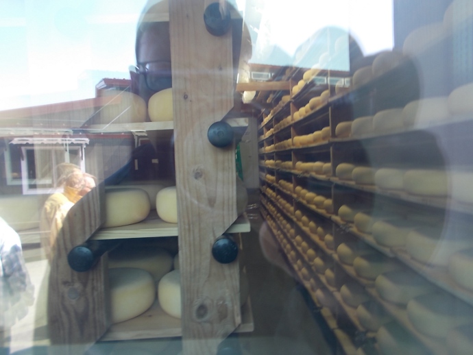 Photo of cheese aging room at Point Reyes Farmstead