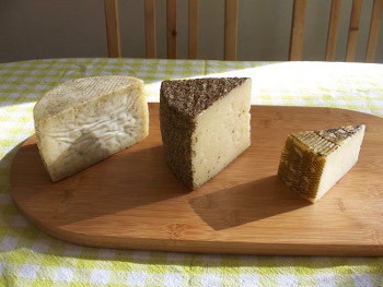Photo of Three Manchego cheeses